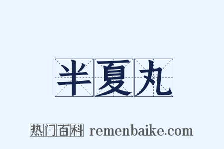 半夏丸是什么意思的图片